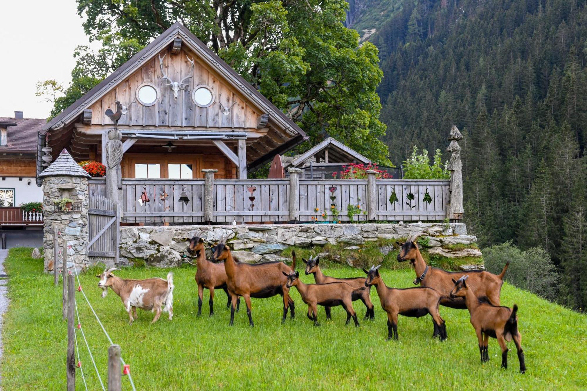 Strickhof * Schladming
