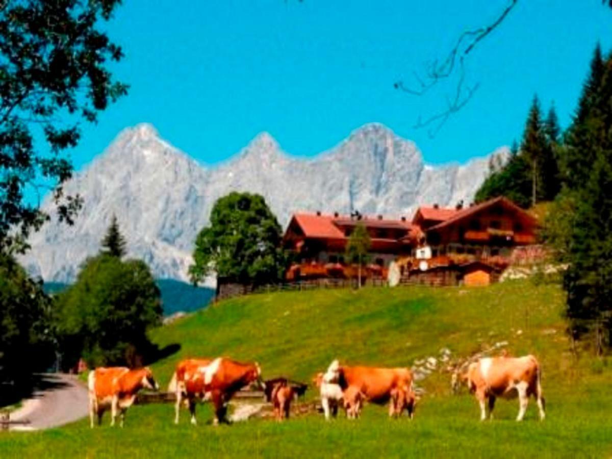 Strickhof *