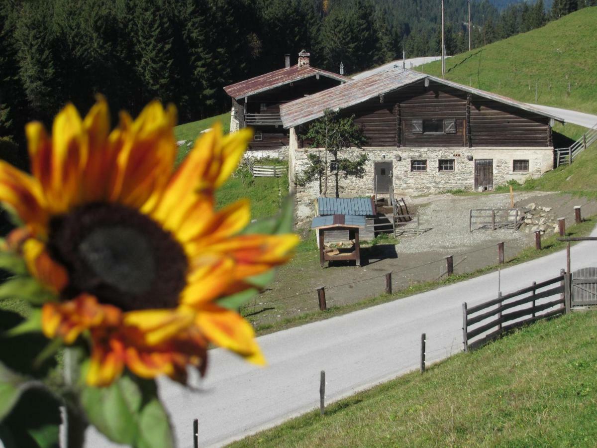 Strickhof Bauernhof *